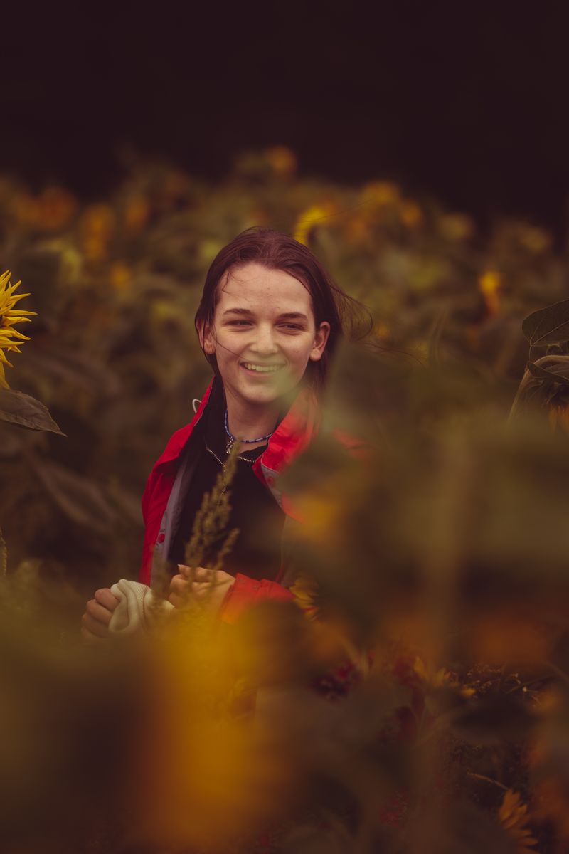 Bild aus der Reihe Sun. Flower. Sunflower.